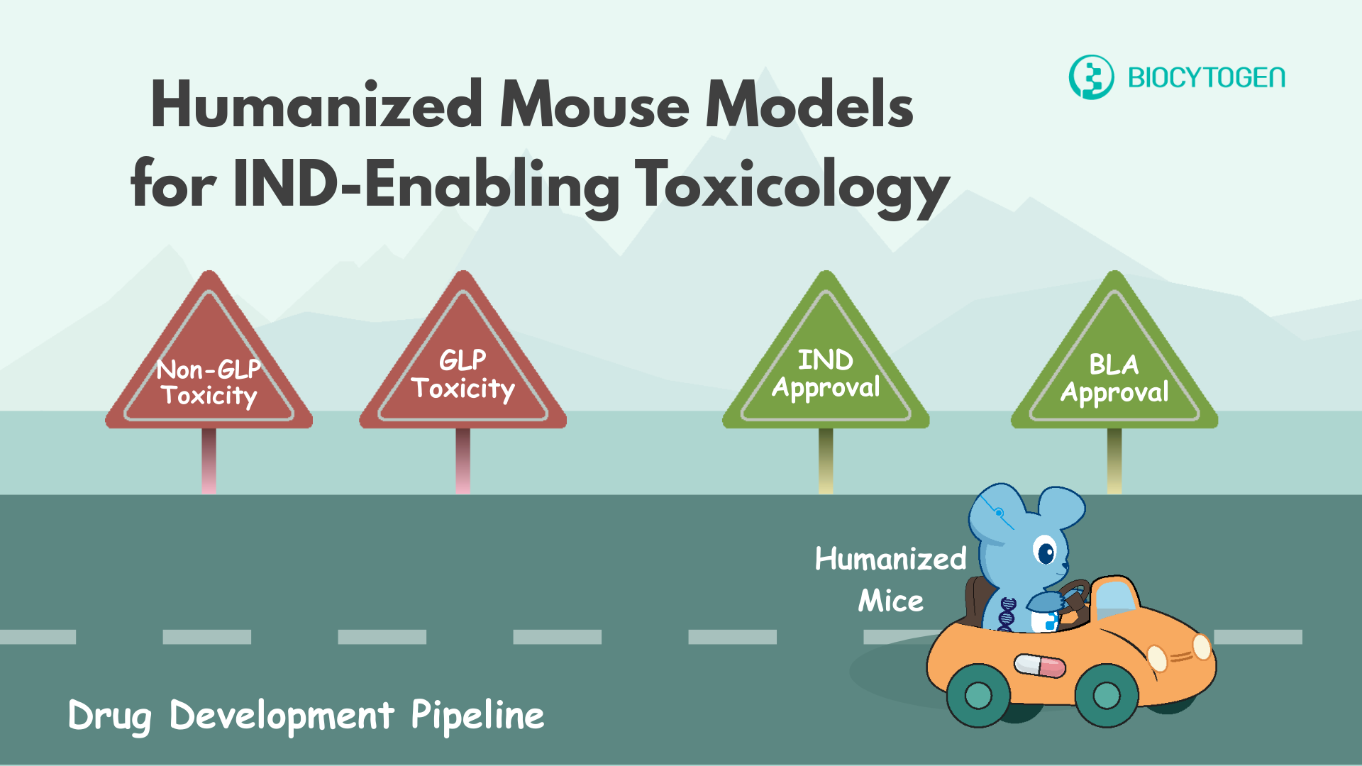 Faster, Cost-Effective, Reliable: Drug Target Humanized Mice for IND-Enabling Toxicology