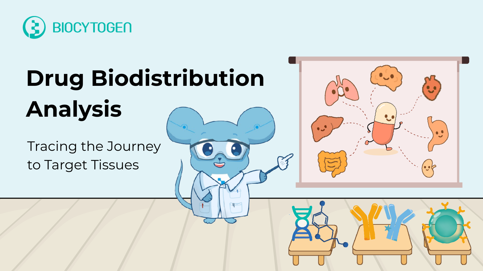 Mapping Drug Biodistribution: Tracing the Journey to Target Tissues
