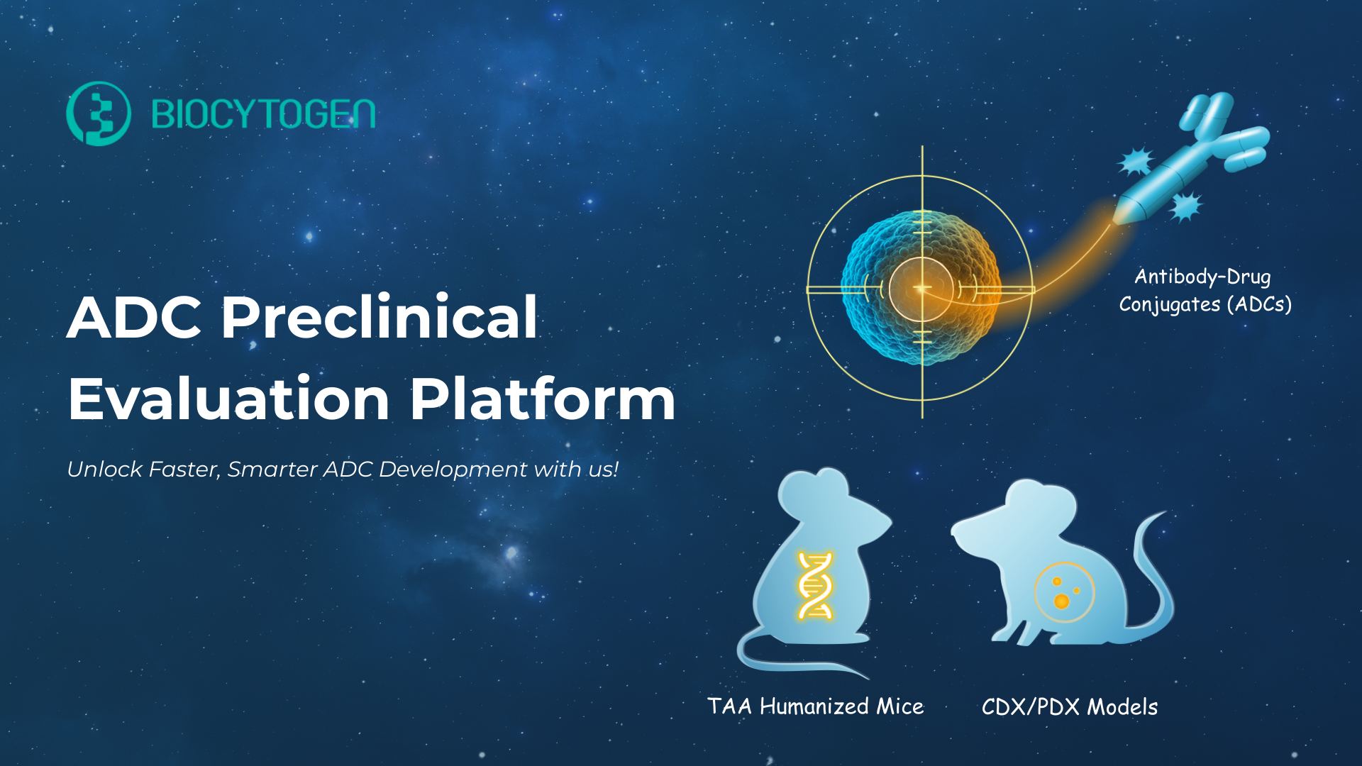 Preclinical Platforms for ADC Success: Humanized Models, CDX/PDX, and Pharmacology