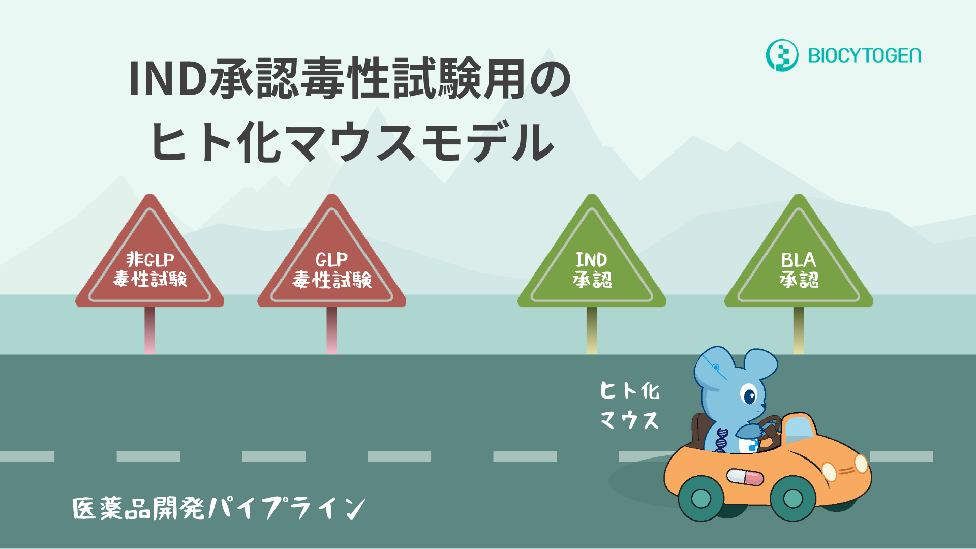 より迅速、高い費用対効果と信頼性：IND申請に必要な毒性学研究用の標的ヒト化マウス
