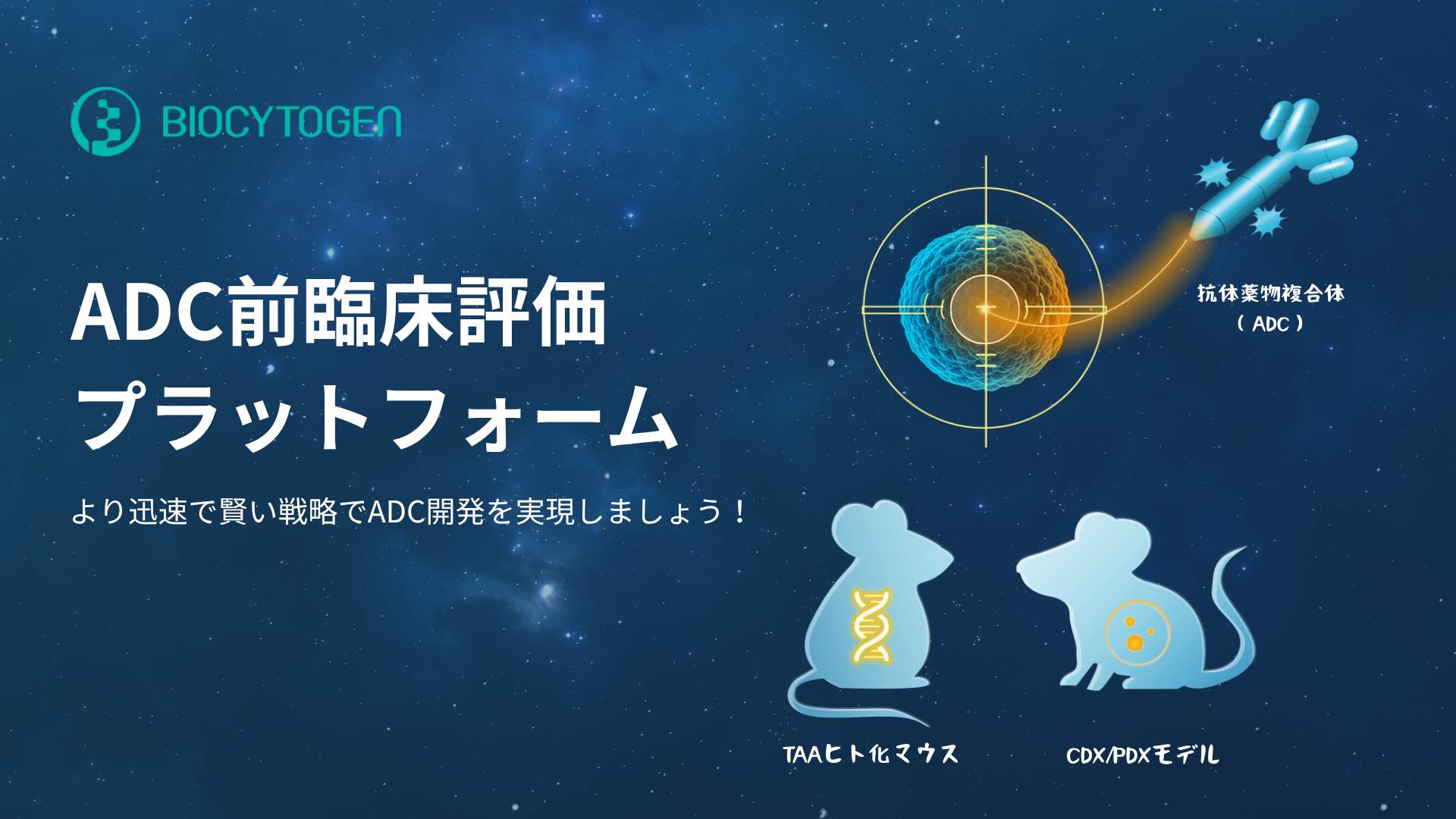ADC開発を支援する前臨床プラットフォーム：ヒト化モデル, CDX/PDXと薬理学