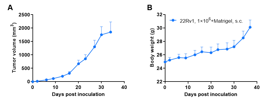 B-CDG 22Rv1 CDX.png
