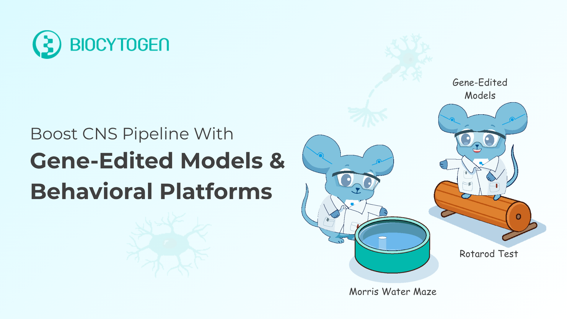 Gene-Edited Models & Behavioral Platforms for Alzheimer&rsquo;s, Parkinson&rsquo;s, and More