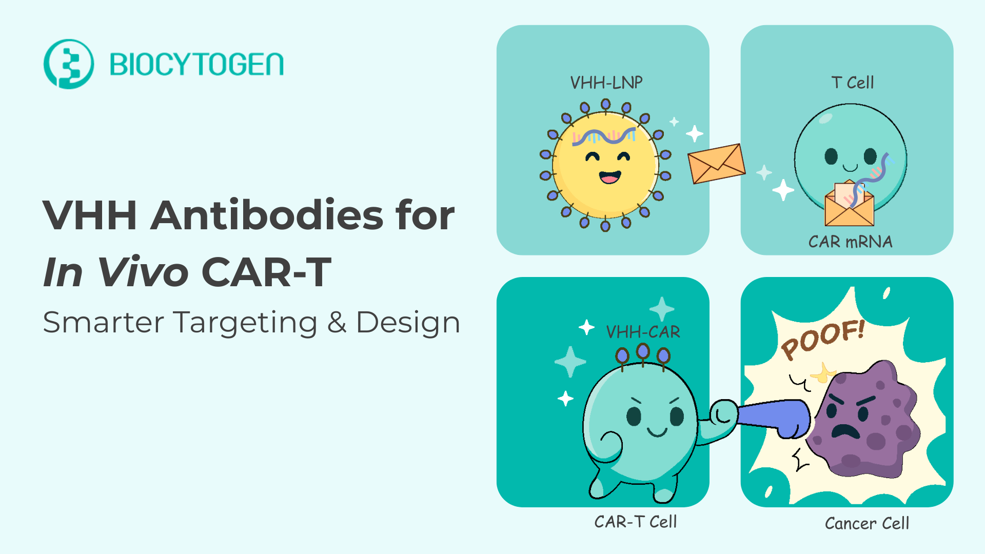 Fully Human VHH Antibodies: Powering the Next Generation of In Vivo CAR-T