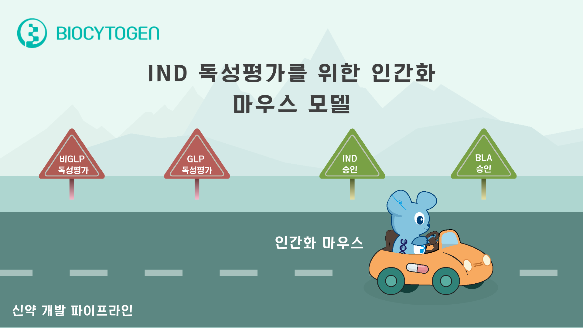 더 빠르고, 더 경제적이며, 더 신뢰성 있게: IND 독성평가를 위한 타깃 인간화 마우스