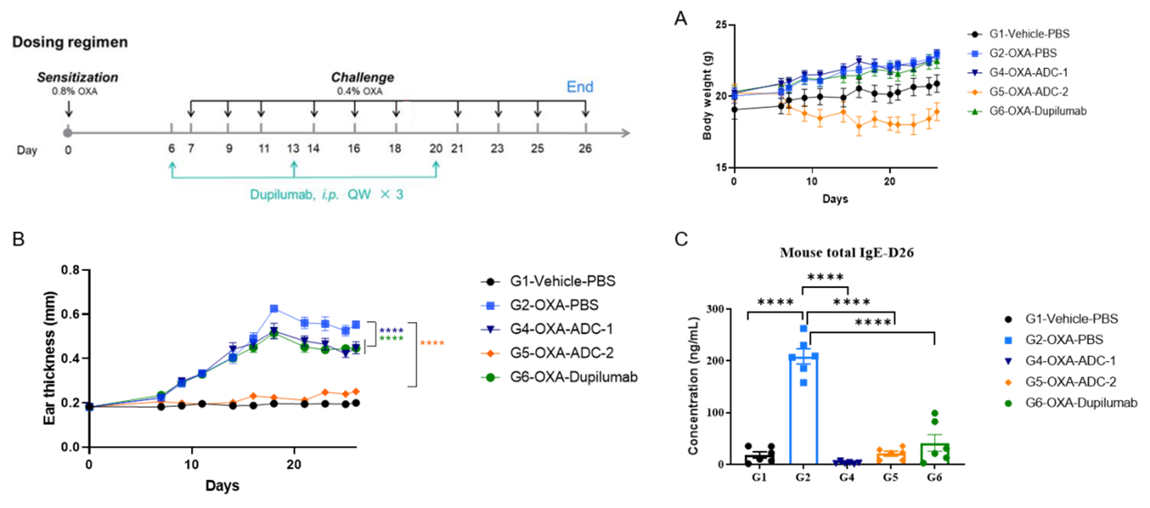自免ADC崛起：新一代精准免疫调节与模型评估方案