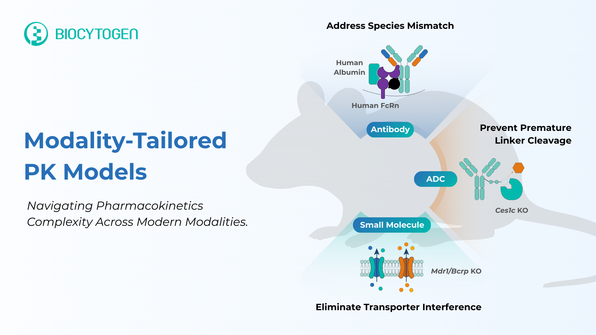 Bridging the Translational Gap: Powering Predictive PK Across Modalities
