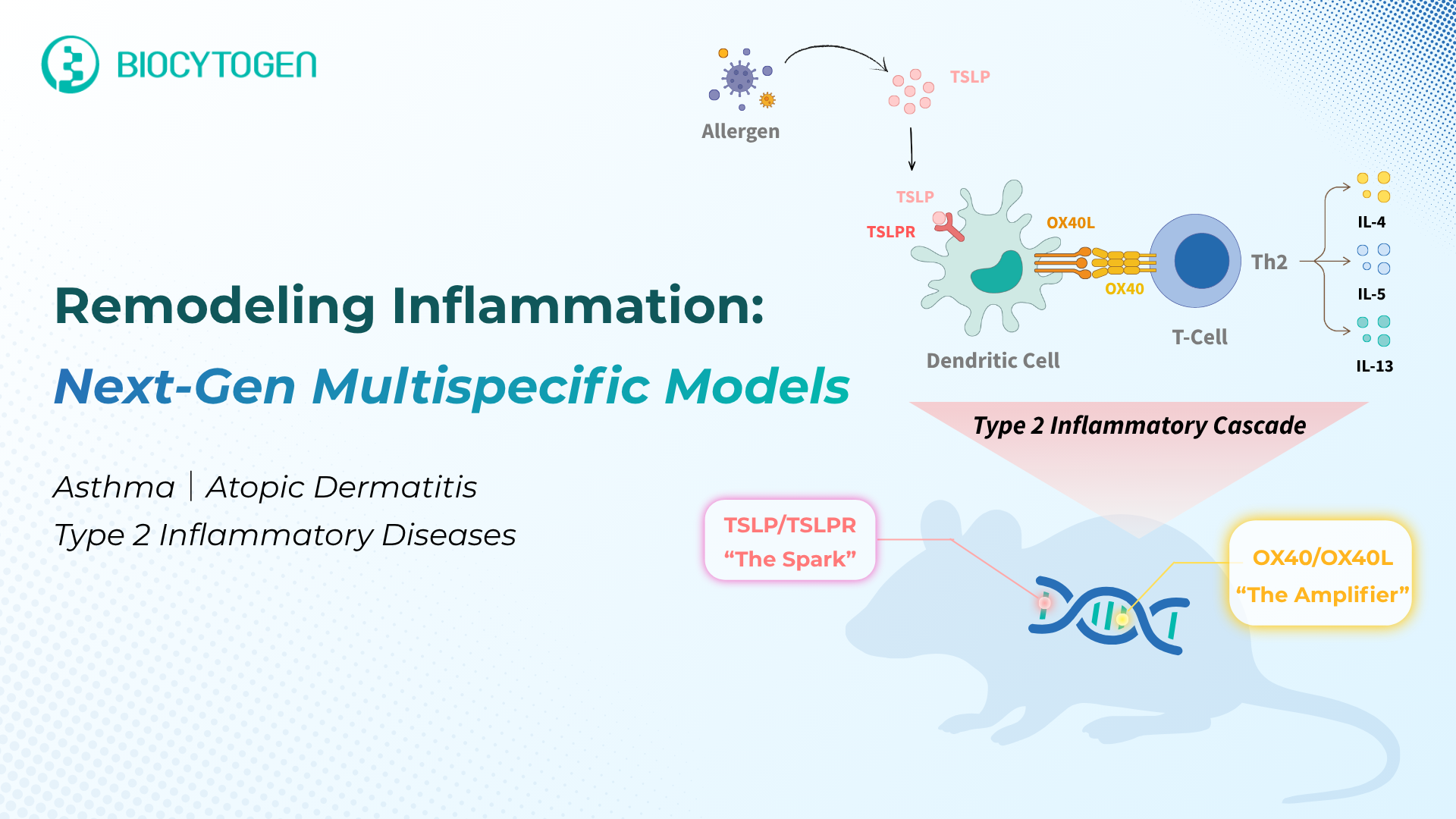 Breaking the Ceiling: Remodeling the Inflammatory Network with Next-Gen Multispecific Models