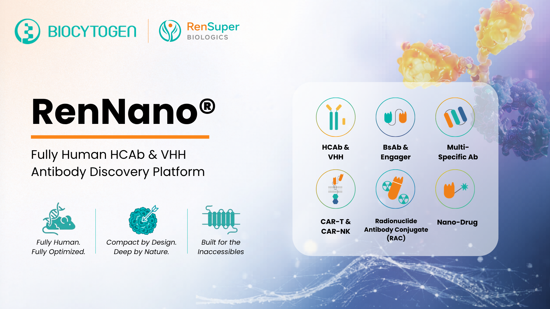 RenNano&reg;: Fully Human HCAb &amp; VHH Discovery Platform for Complexity, Diversity, and Developability