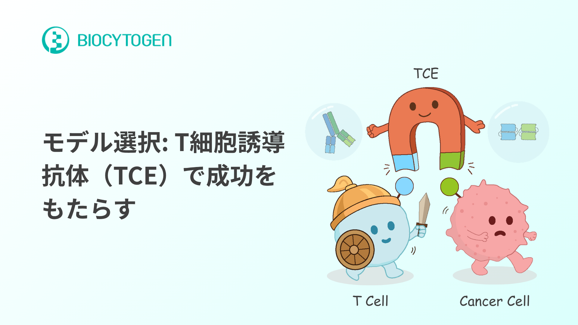 TCEの有効性&安全性：腫瘍学および自己免疫疾患への応用のためのモデル選択