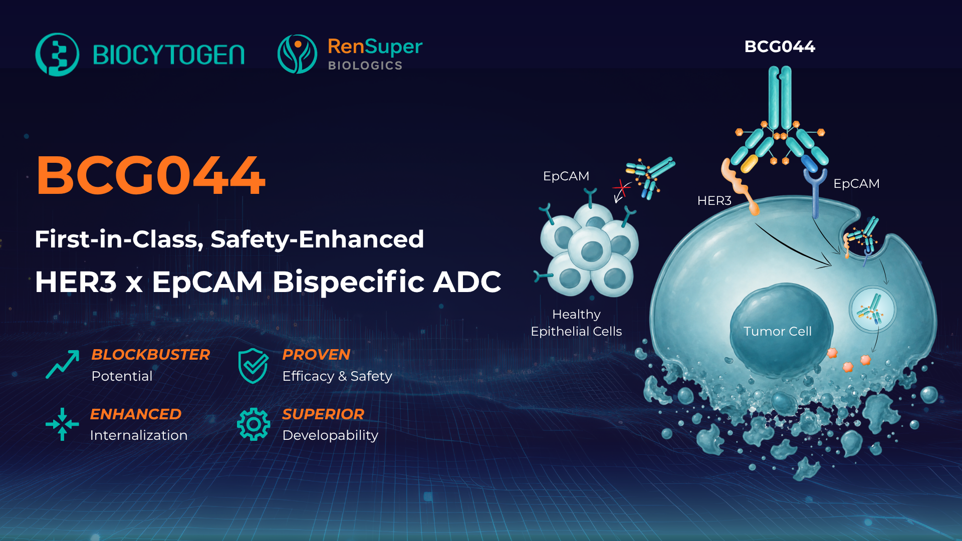 From Challenge to Opportunity: Safer EpCAM Targeting Through HER3&times;EpCAM Bispecific ADC Strategy