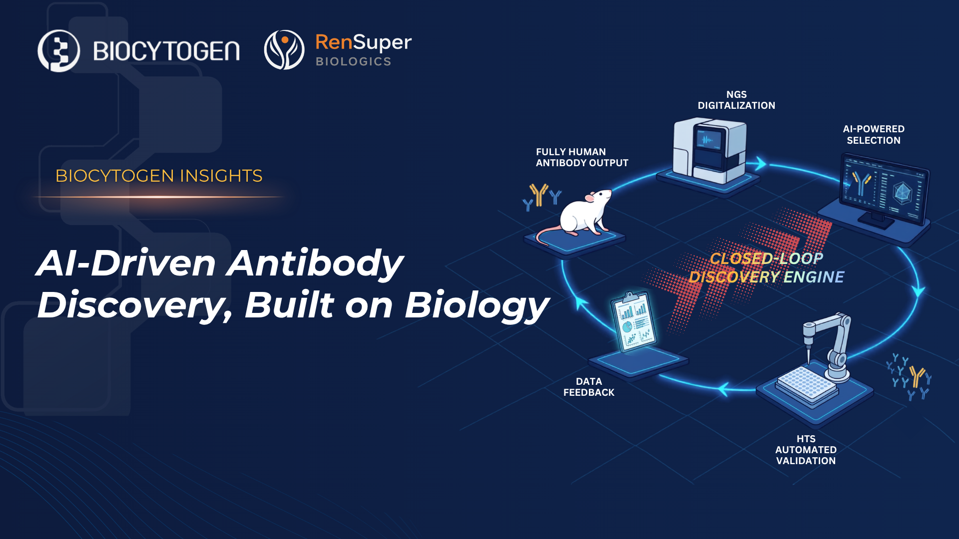 RenSuper: AI-Driven Antibody Discovery, Built On Biology