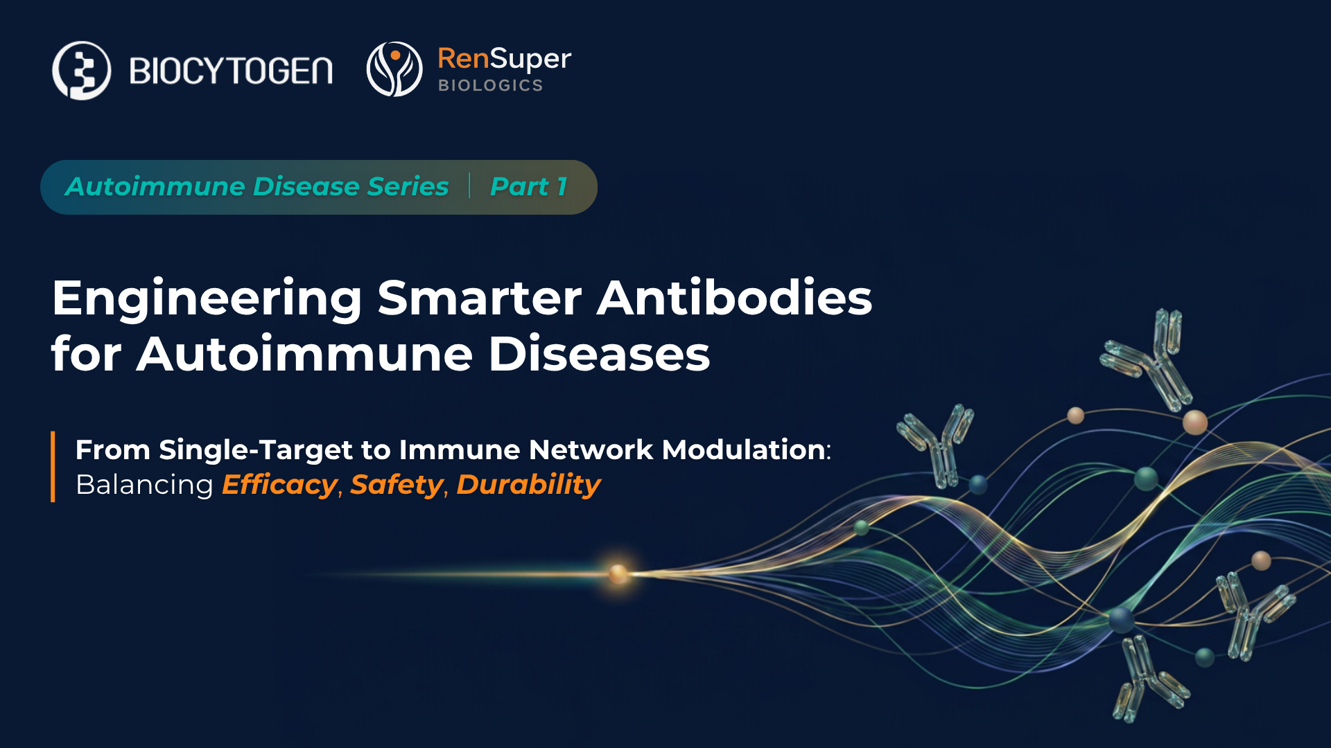 Engineering Smarter Antibodies for Autoimmune Diseases: From Single-Target to Immune Network Modulation