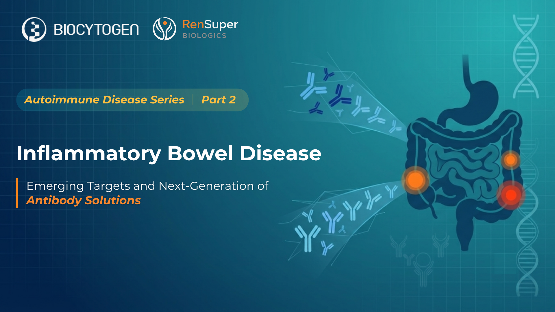 Inflammatory Bowel Disease (IBD): Emerging Targets and Next Generation of Antibody Solutions
