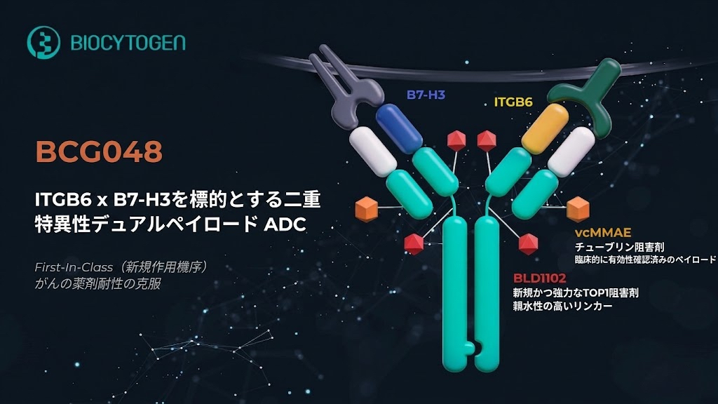 腫瘍の耐性&不均一性を克服：二重特異性デュアルペイロード ADC
