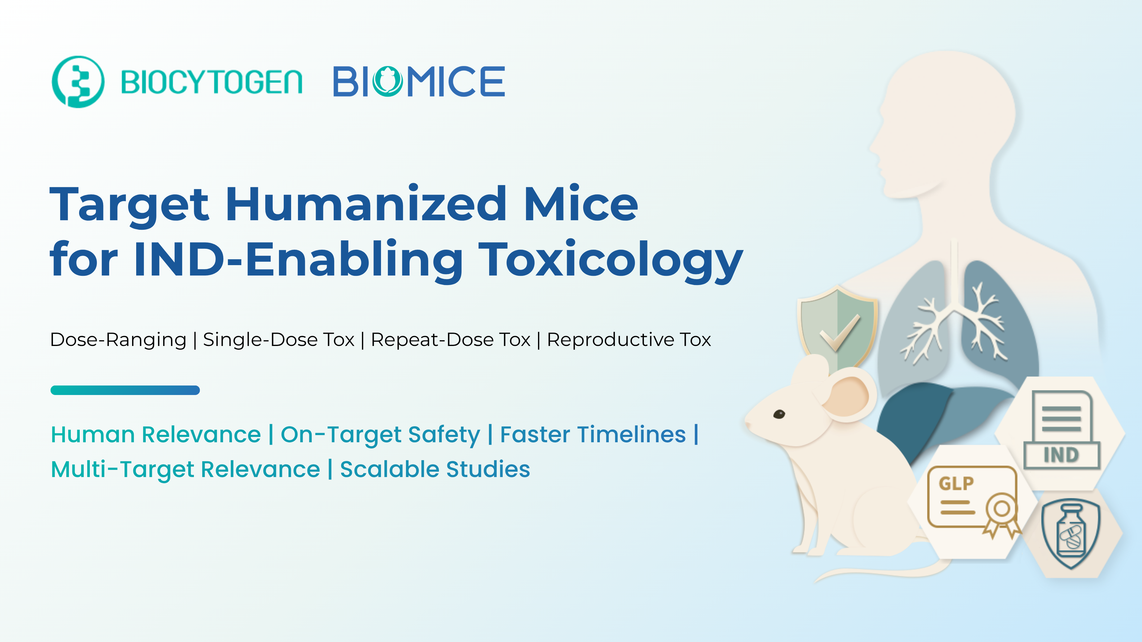 Target Humanized Mice for IND-Enabling Toxicology