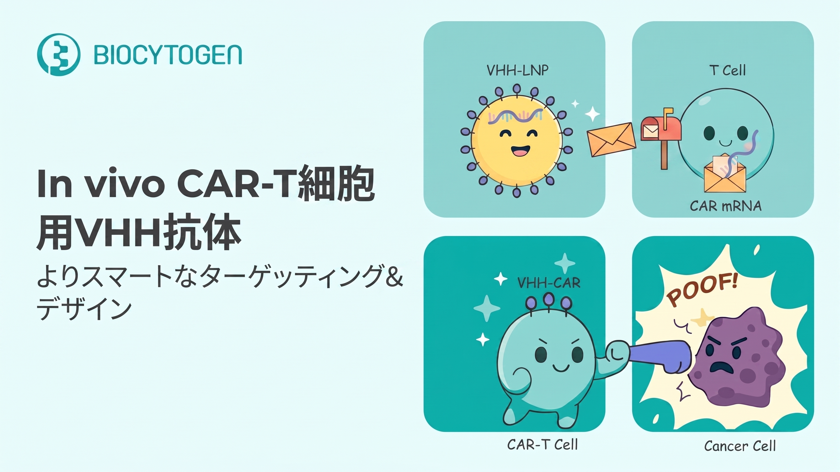 完全ヒトVHH抗体：次世代のin vivo CAR-T細胞療法の推進力