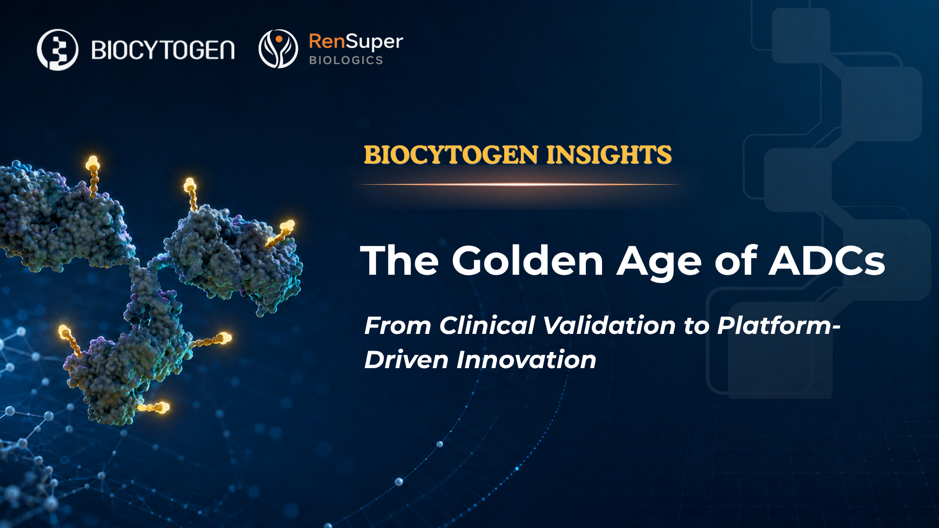 The Golden Age of ADC: From Clinical Validation to Platform-Driven Innovation
