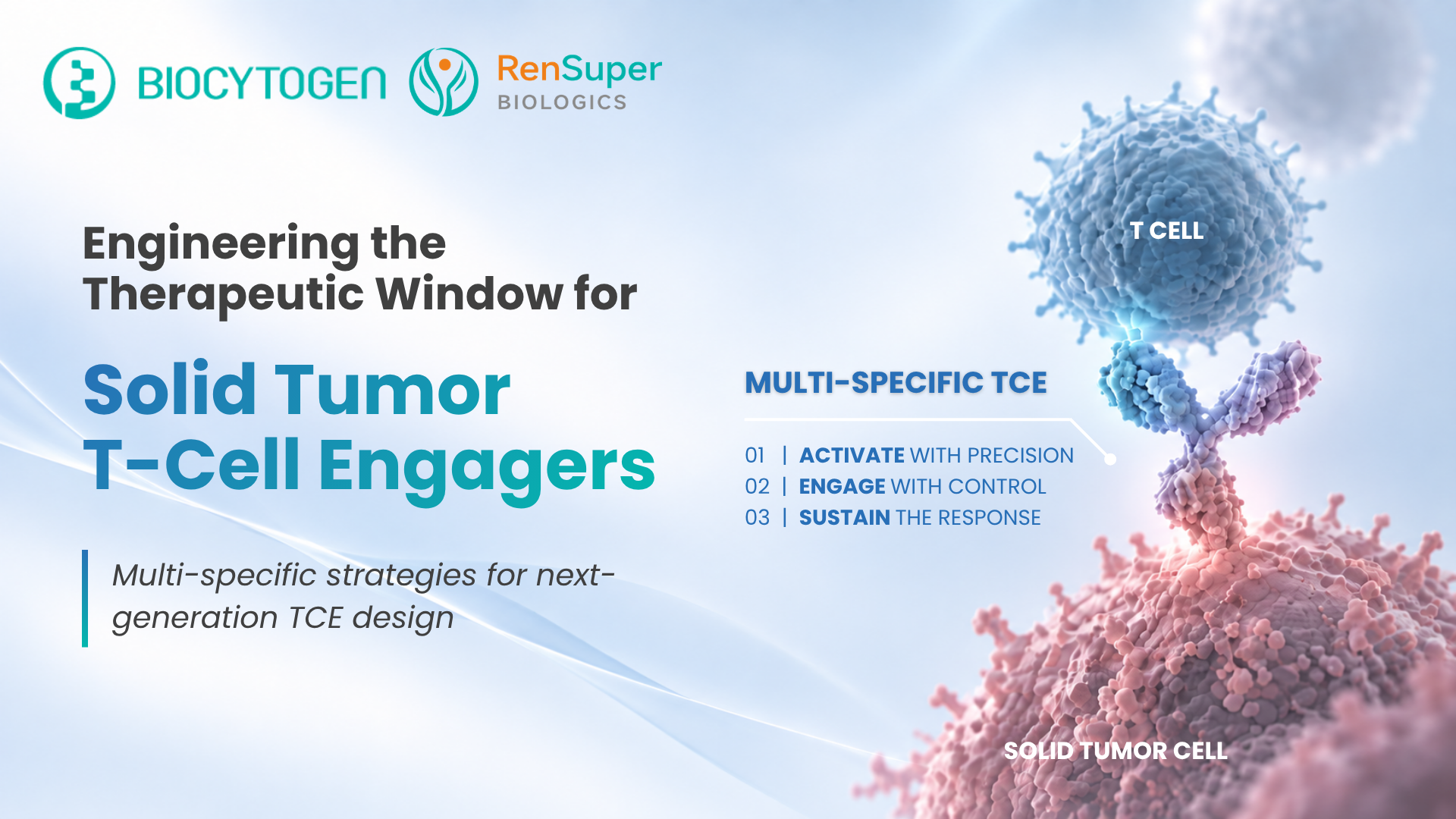Engineering the Therapeutic Window for Solid Tumor T-Cell Engagers