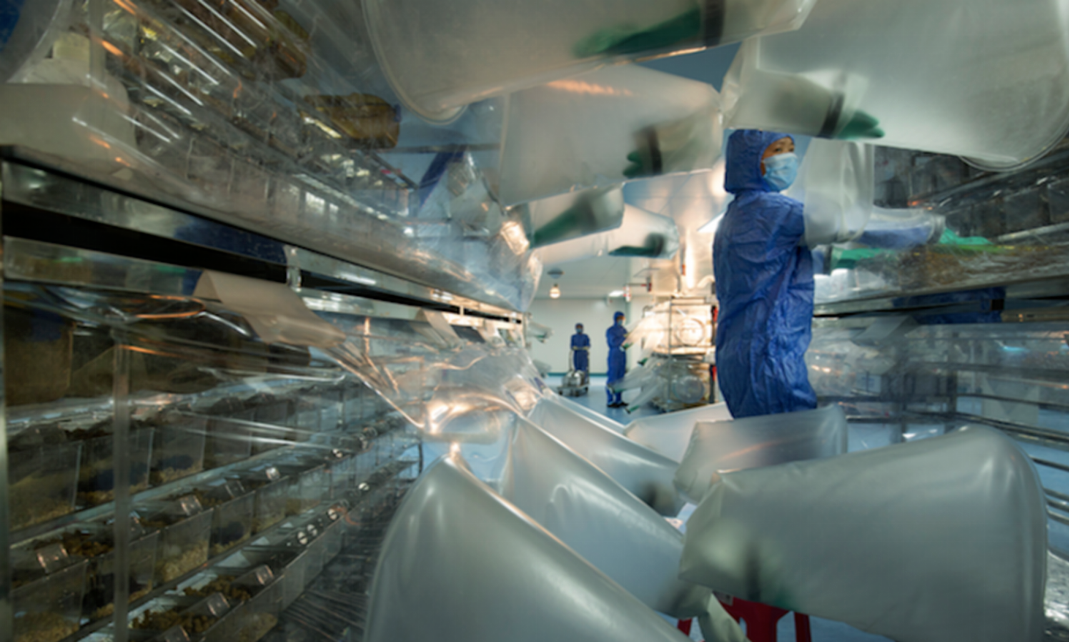 保障实验动物生活舒适的秘诀--环境控制与检测