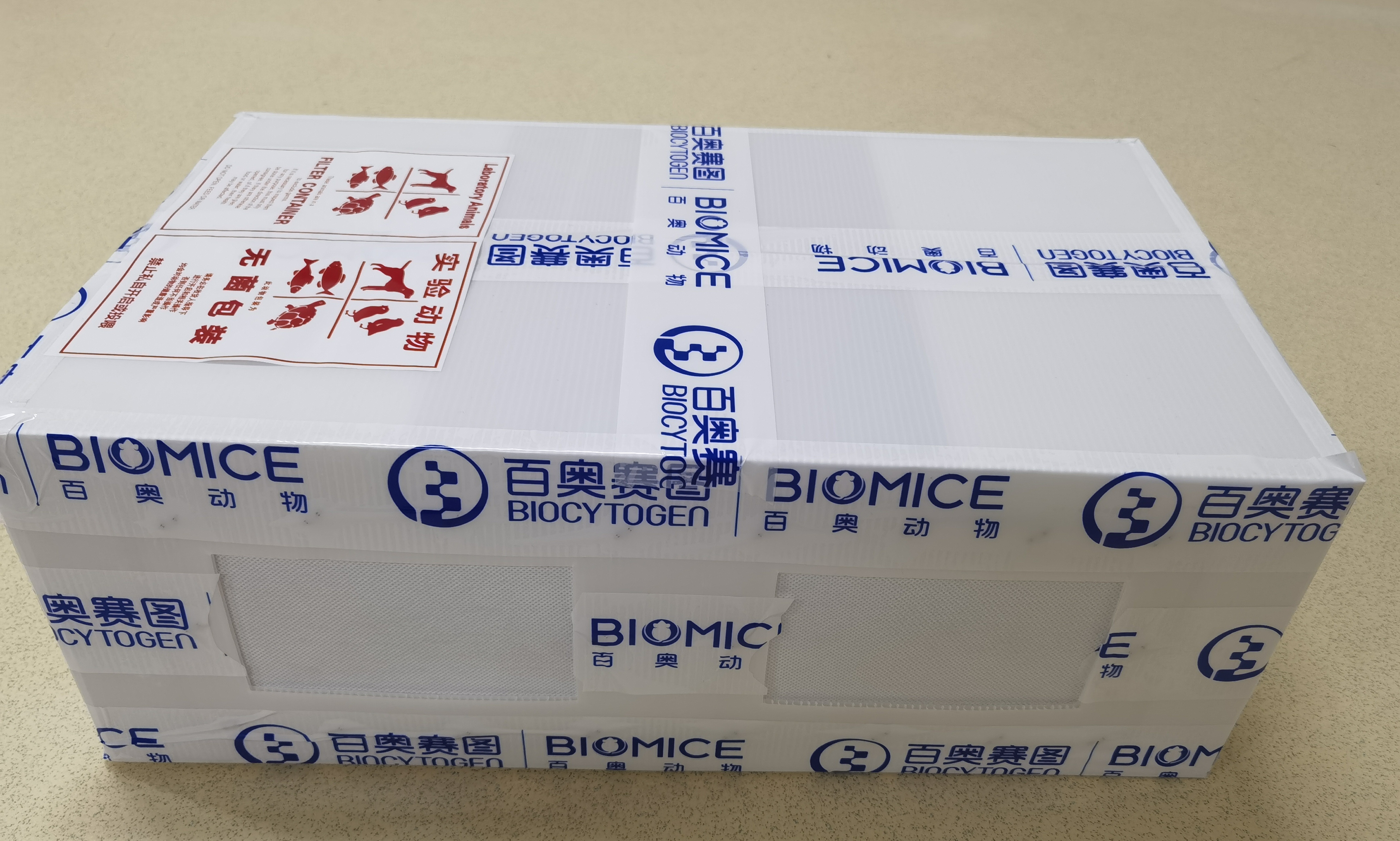【好物种草】| 纸箱运输实验小鼠？低价！靠谱！