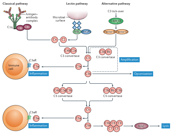 from clipboard from clipboard