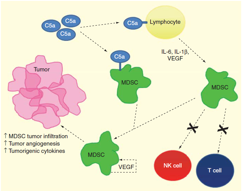 from clipboard from clipboard