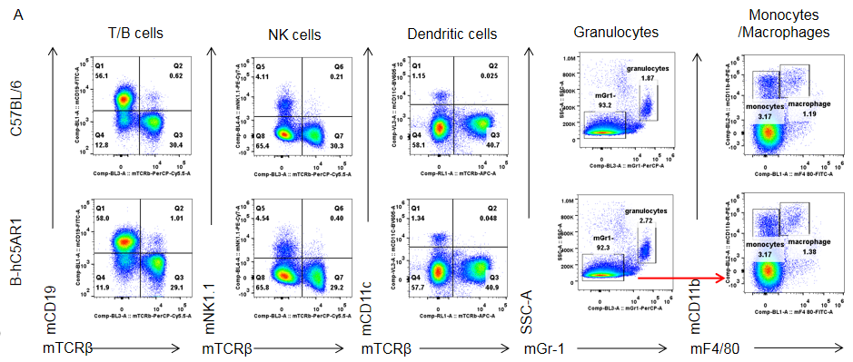 from clipboard from clipboard