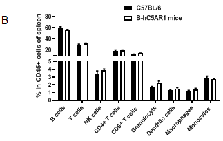 from clipboard from clipboard