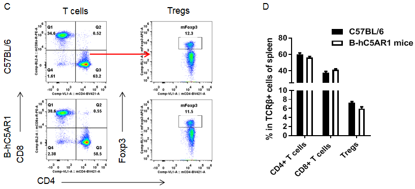 from clipboard from clipboard
