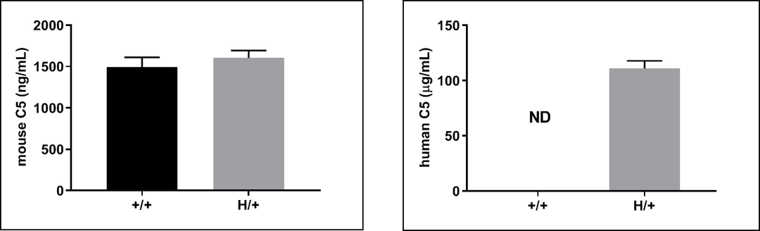 from clipboard from clipboard