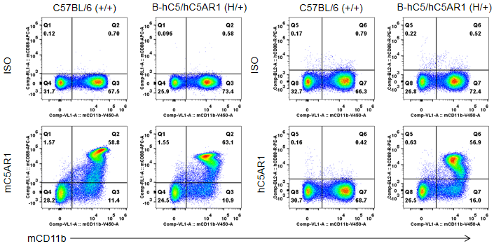 from clipboard from clipboard
