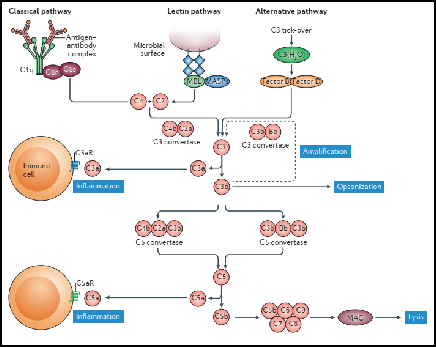 剑指癌症和自免，今朝且论VSIG4