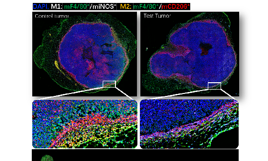 强强联合 | TMA&TSA助力生物医药产业创新发展