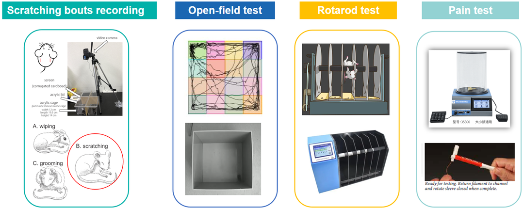 动物行为学实验，助力创新药物研发