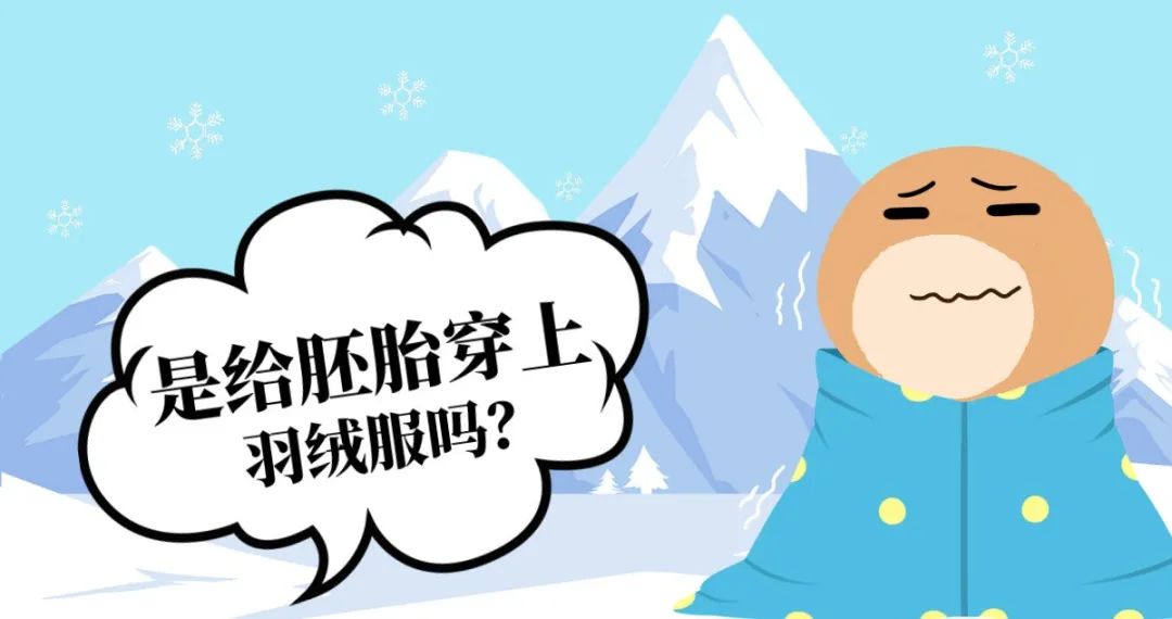 胚胎的&ldquo;冬眠&rdquo;--小鼠胚胎冷冻及复苏介绍！