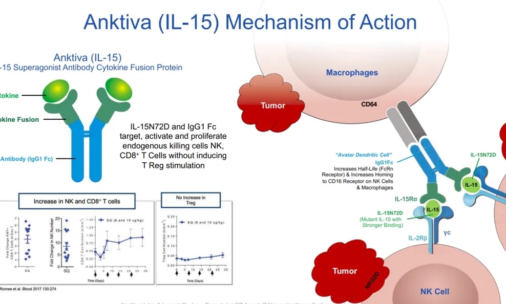 超越免疫检查点抑制剂的下一代免疫疗法来了？