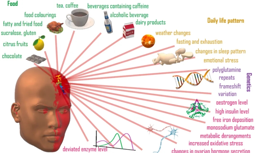 谁在念&ldquo;紧箍咒&rdquo;，偏头痛的研究进展到哪了？