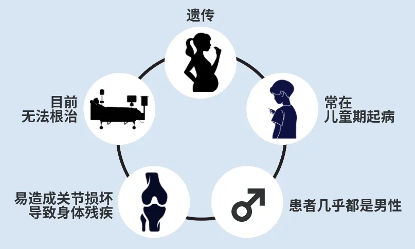 破解&lsquo;玻璃人&rsquo;之谜--从血友病动物模型到药物开发的探索