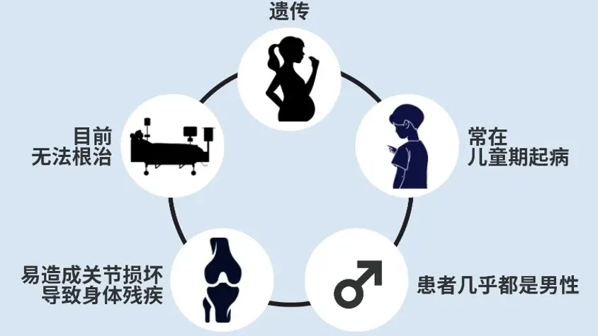 破解‘玻璃人’之谜--从血友病动物模型到药物开发的探索