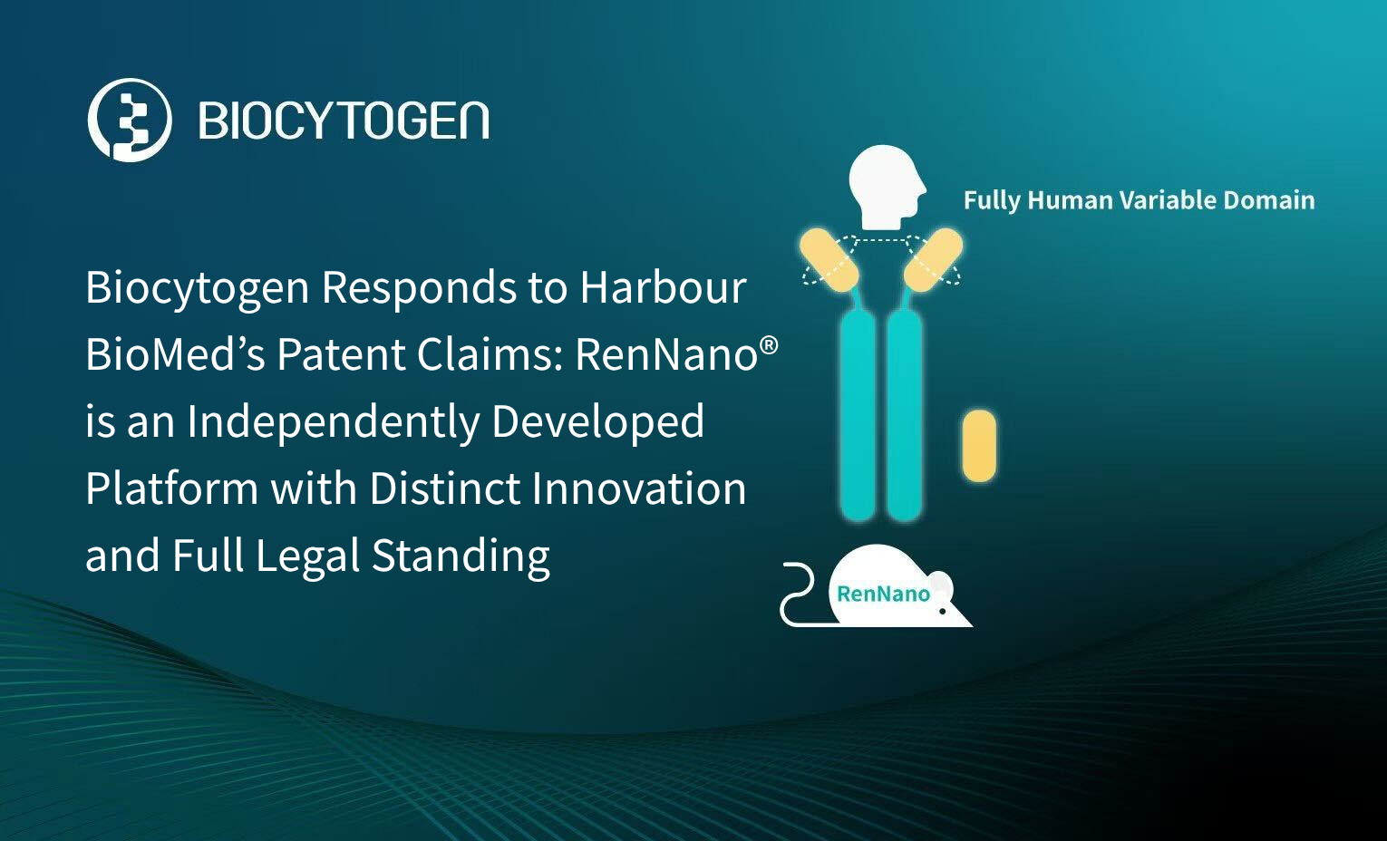 Biocytogen Responds to Harbour BioMed&rsquo;s Patent Claims: RenNano&reg; is an Independently Developed Platform with Distinct Innovation and Full Legal Standing