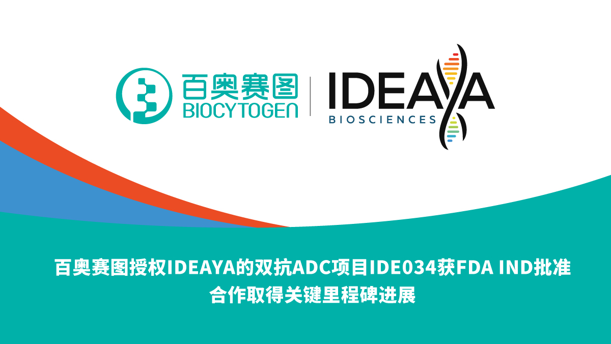 百奥赛图授权IDEAYA的双抗ADC项目IDE034获FDA IND批准，合作取得关键里程碑进展