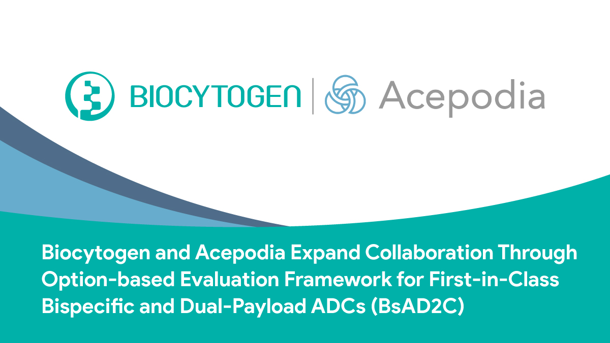 バイオサイトジェンとAcepodia、ファーストインクラスの二重特異性抗体およびデュアルペイロードADC（BsAD2C）開発に向けたオプション型評価枠組みを通じて提携を拡大