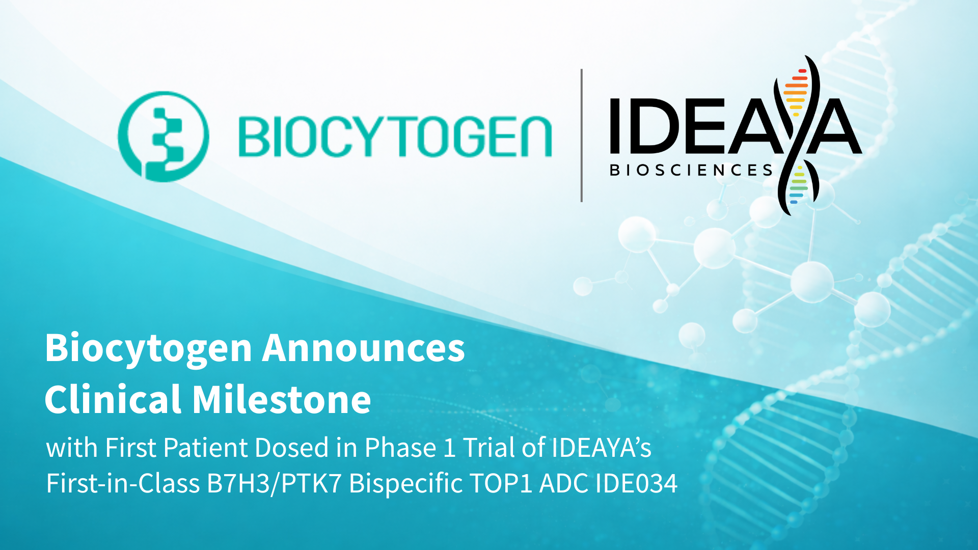 Biocytogen Announces Clinical Milestone with First Patient Dosed in Phase 1 Trial of IDEAYA&rsquo;s First-in-Class B7H3/PTK7 Bispecific TOP1 ADC IDE034