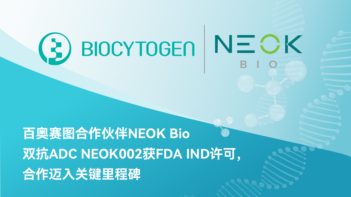 百奥赛图合作伙伴NEOK Bio双抗ADC NEOK002获FDA IND许可，合作迈入关键里程碑