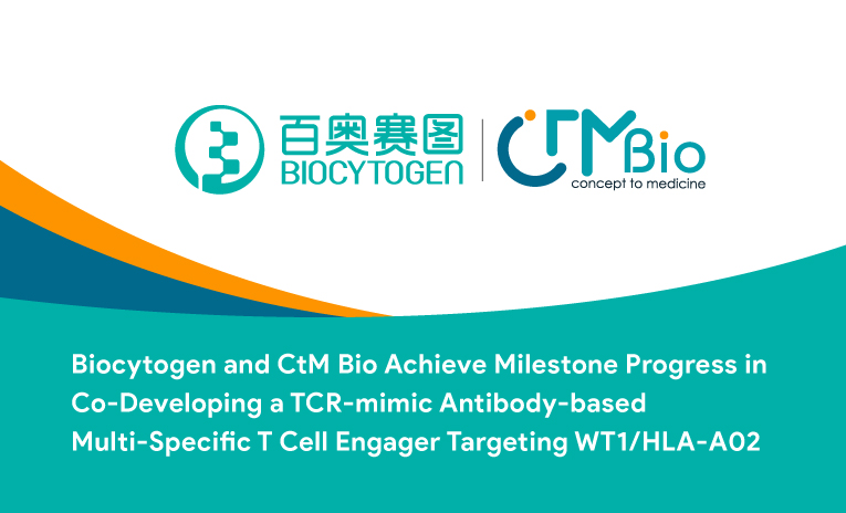 Biocytogen and CtM Bio Achieve Milestone Progress in Co-Developing a TCR-mimic Antibody-based Multi-Specific T Cell Engager Targeting WT1/HLA-A02