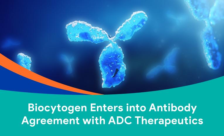 Biocytogen Enters into Antibody Agreement with ADC Therapeutics