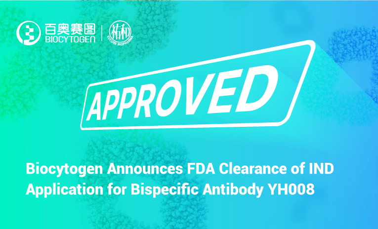 Biocytogen Announces FDA Clearance of IND Application for Bispecific Antibody YH008