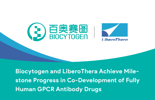 Biocytogen and LiberoThera Achieve Milestone Progress in Co-Development of Fully Human GPCR Antibody Drugs
