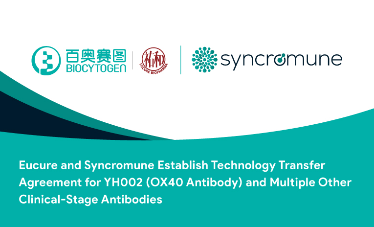 Eucure Biopharma, a Subsidiary of Biocytogen Pharmaceuticals, Licenses OX40 Antibody (YH002) and Multiple Active Ingredients to Syncromune for the Development and Commercialization of Intratumoral Imm